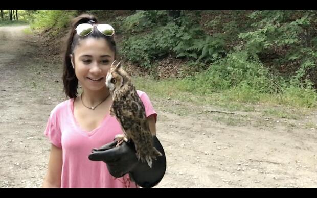 Falconry Tour from Zagreb - image 5