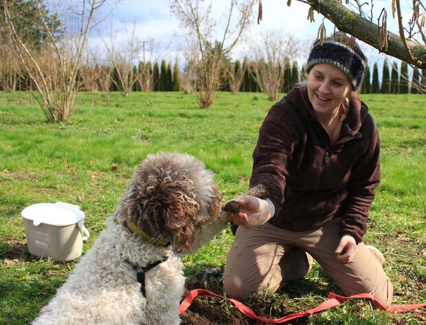 Zagreb Surroundings Truffle Hunting - image 2