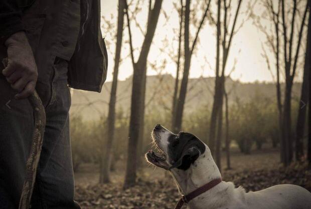 Private Truffle Hunting - image 5