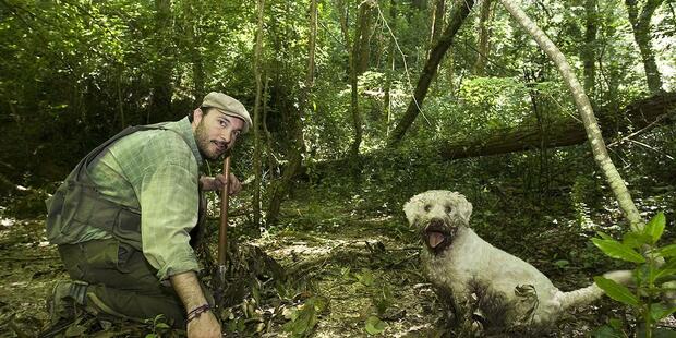 Zagreb Surroundings Truffle Hunting - image 3
