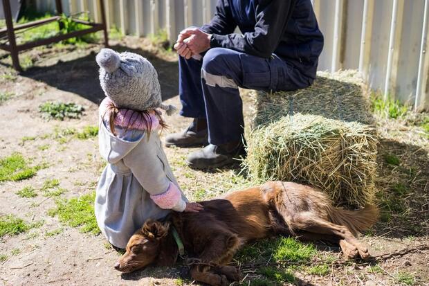 Zagreb Surroundings Truffle Hunting - image 4